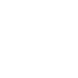 Avalanche